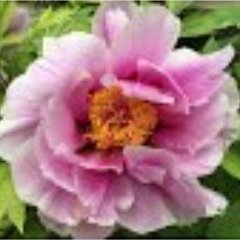 MrsSwilliams2's profile picture. 4th Grade Teacher, Holmes School