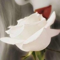 صباح باهادي (@bahadiseba) 's Twitter Profile