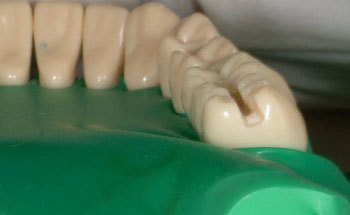 Flossin' Dentists taking over the world.