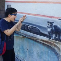 Qingqing Liu (@qingqingliu) 's Twitter Profile