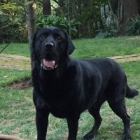 InPlo (@inplo) 's Twitter Profile