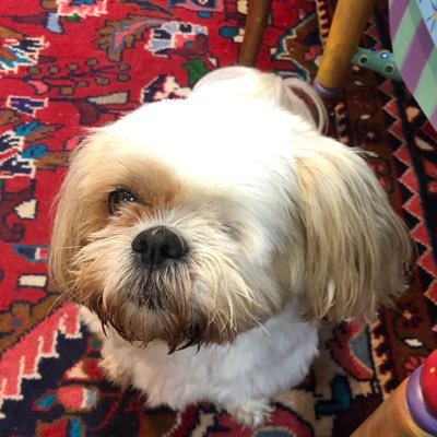 KirstenSkoglun3's profile picture. 