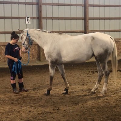 Equestrian 🏇