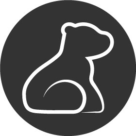 Glass Bear Studioさんのプロフィール画像