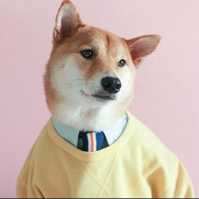 demonstrator's profile picture. Solid work will shape my fiture.
We can be good friends.