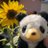 🐼Yuki☪︎⋆。˚✩のアイコン