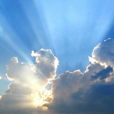 avaaralyn's profile picture. AnCap/Voluntaryist ~ pro living in peaceful, voluntary cooperation with my fellow humans ☀️ pro eradicating parasitical psychopathy ☀️pro N.A.P.