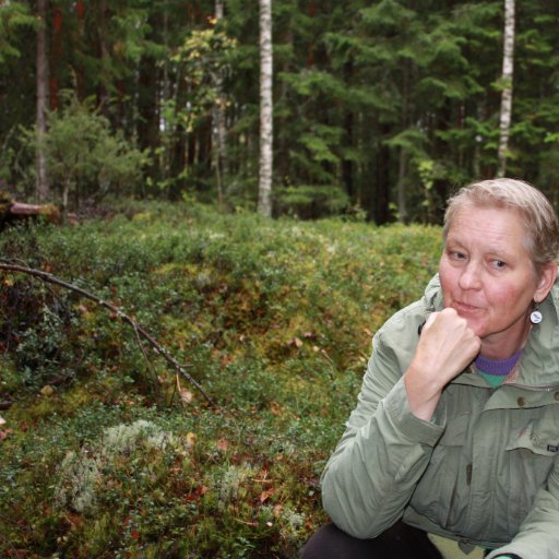 UMontin's profile picture. Luonnon monimuotoisuuden puolesta. 
@ullamontin.bsky.social 
@MMetsamme @linnaistenmetsa 
Kaupunkiluontoliike ry – Stadsnaturrörelse rf