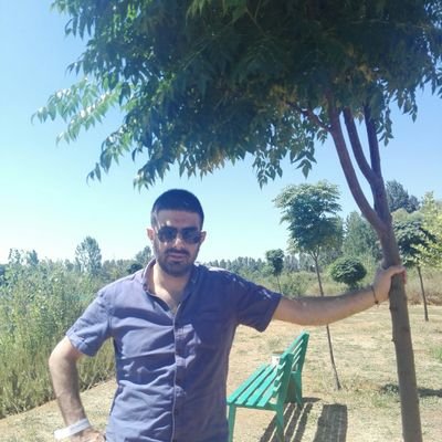 gillesatallah's profile picture. 