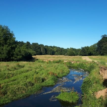 A multi-partner community project with the National  Trust - healthy rivers and catchments that are clean, rich in wildlife, accessed and enjoyed by all.