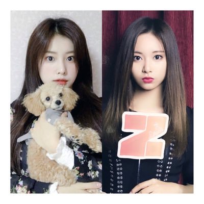 jhsbody's profile picture. 쯔위_유나_黃美英 #강혜원 #世界平安🎈