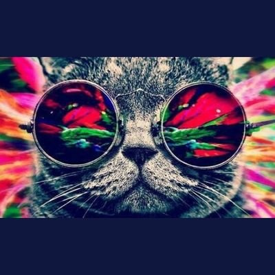 Ptthy03371950's profile picture. Me siga que eu te  sigo de volta...
Amo postar O que vem na minha mente!