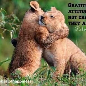 daniboy82's profile picture.