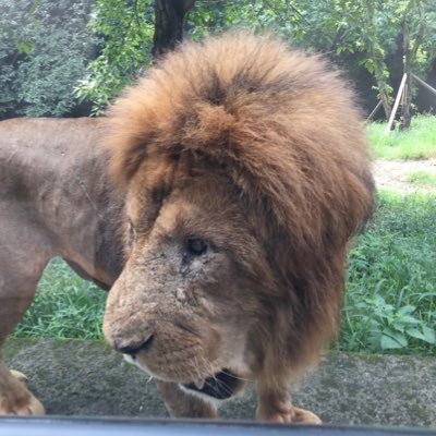 DJhyge's profile picture. hardstyle