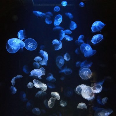 I3erCfPYPiEa8AJ's profile picture. 天使のメッセージをオラクルカードを使って、天使さんが伝えたいメッセージをお伝えしてます。