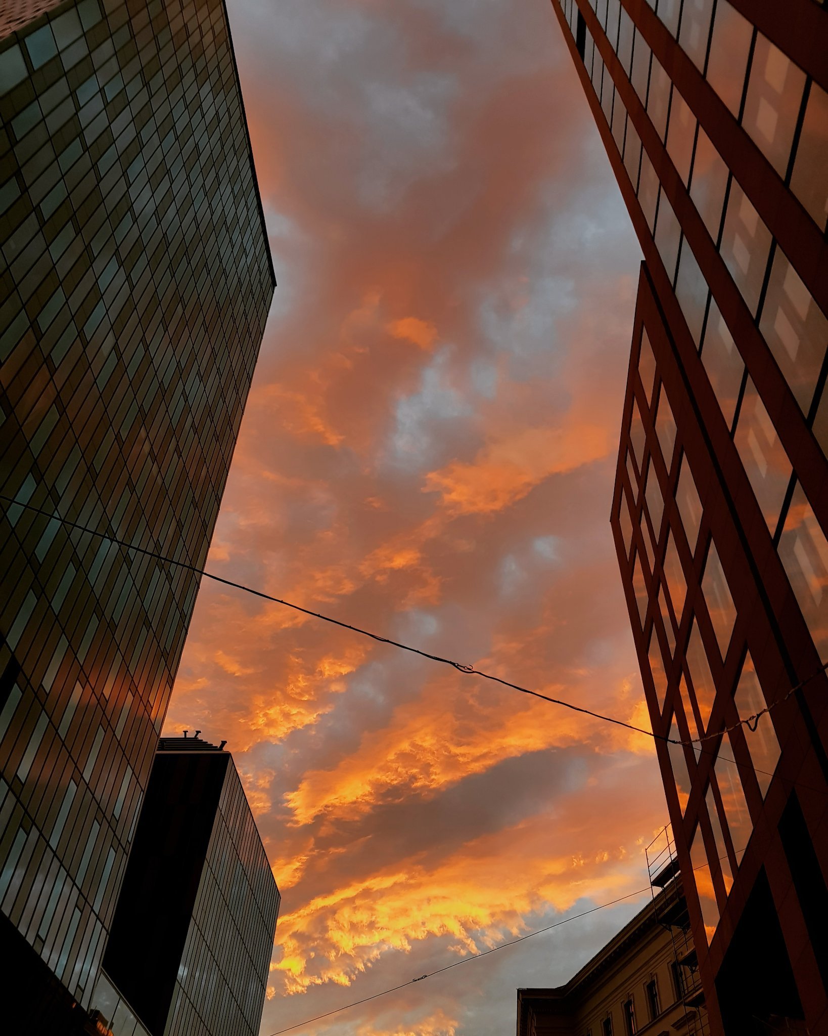 ewglam40's profile picture. 