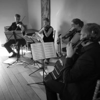 Sonorestringquartet(@sonorestrings) 's Twitter Profile Photo