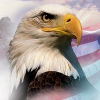 a "Backwoods" Conservative ๐บ๐ธ๐บ๐ธ (@backwoodsgop) 's Twitter Profile Photo a "Backwoods" Conservative ๐บ๐ธ๐บ๐ธ (@backwoodsgop) 's Twitter Profile Photo