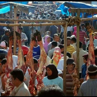 RomanAlarcon14's profile picture. 