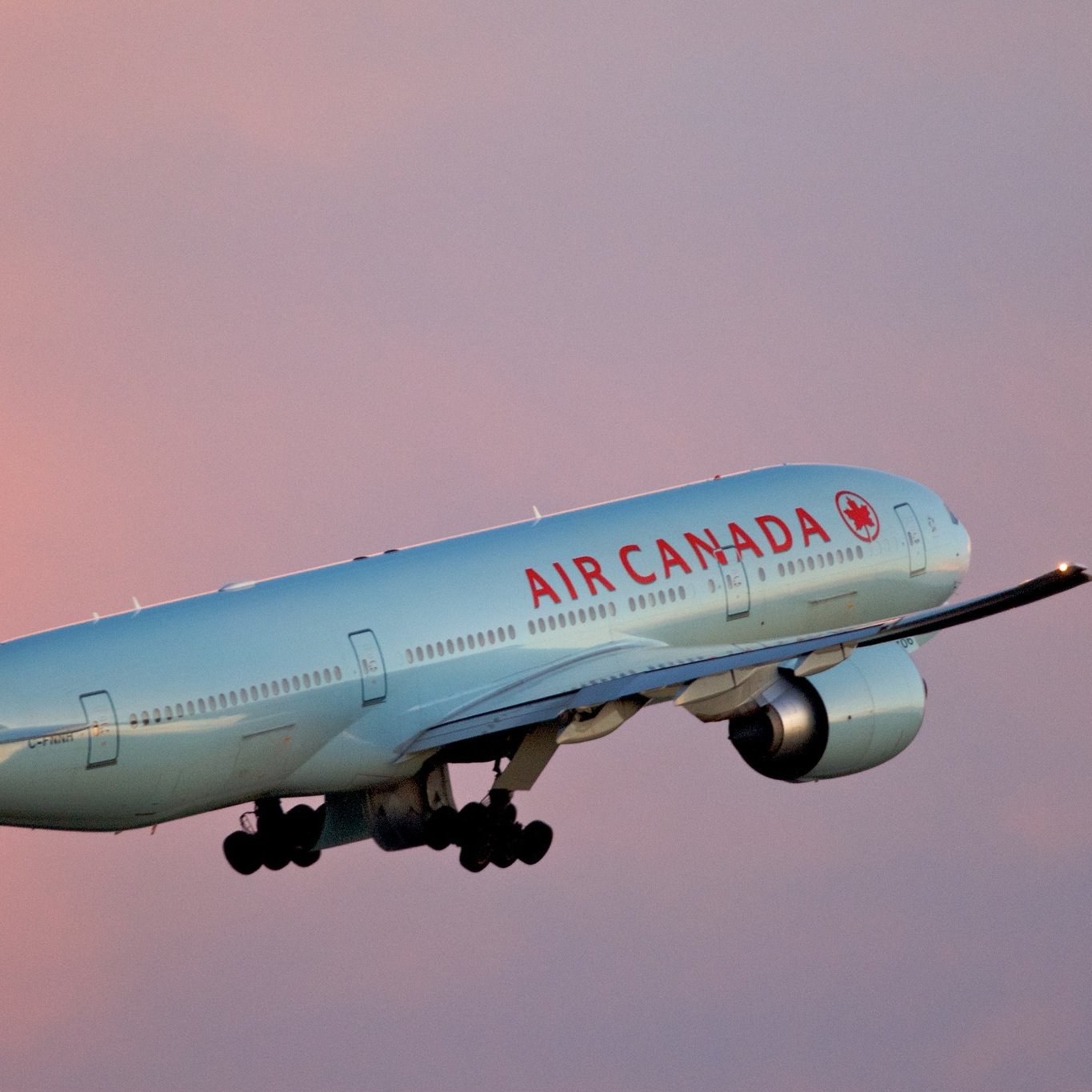 We Offer Cheap AirCanada Flight
 
In Canada, From Canada Or To Canada

DM FOR INQUIRY

LAST MINUTE BOOKING AVAILABLE 

Payments are made through BITCOINS