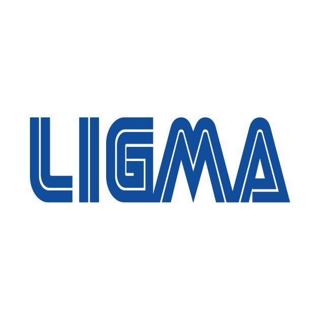 Im larry, Larry Ligma. Small Streamer, mostly playing fortnite PC