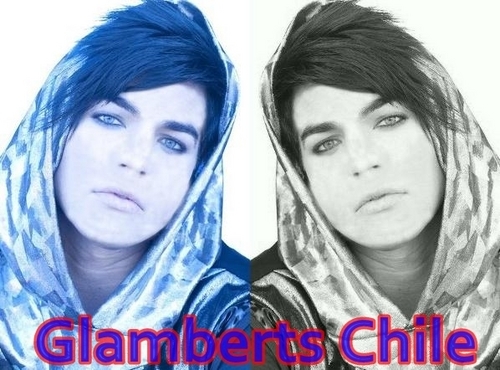 Adam Lambert fans en Chile unete! http://t.co/O8dxsOCGTE apoyamos la carrera de Adam Lambert!.