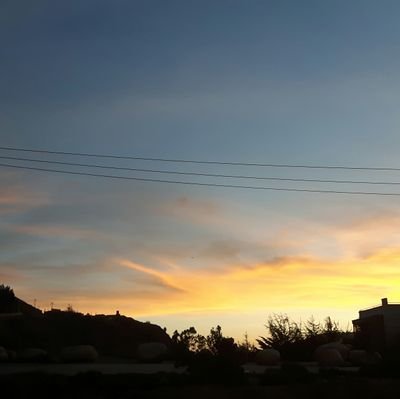 XdJhosua's profile picture. 