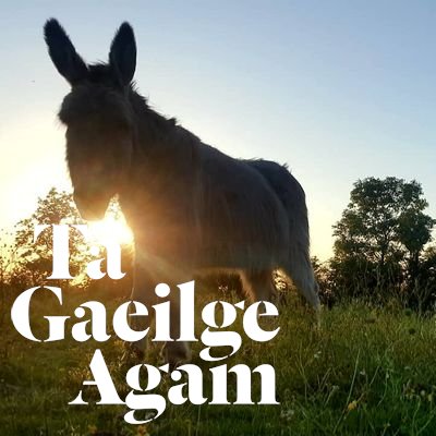 Camógaíocht, iomáint, teilifís agus ceol.  Gael. Andúileach tae.

Camogie, hurling, TV and music.

Producer/Director