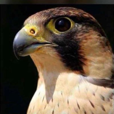 اللهُم إن كثرتَ ذنوبنا فاغفرهآ ، وإن ظهرت عُيوبنا فاسترهآ ، وإن زادتْ همومنا فإزلهآ ، وإن ضلت انفسنا طريقهآ فرُدهآ إليكَ رداً جميلآ ♡ .