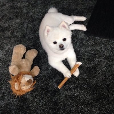 kalebdad329's profile picture. I love Jesus with all my Heart,He saved my life. I enjoy Michigan Wolverines football for my outlet away from work .