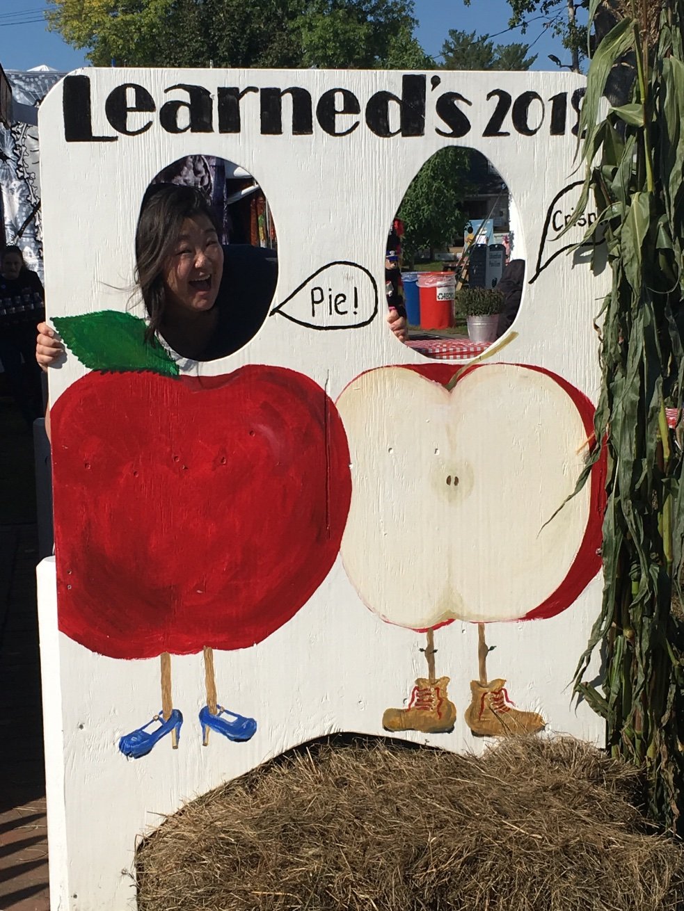 AnnaMeiNotAnime's profile picture. 