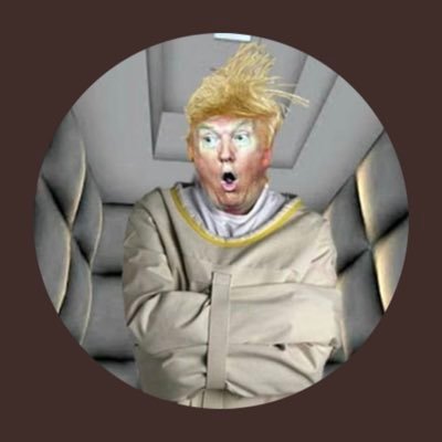 TrumpsDailyCon Profile Picture