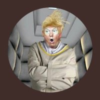 Trumps Daily Con(@TrumpsDailyCon) 's Twitter Profileg