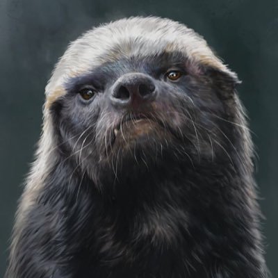 ma_xiaopeng's profile picture. see a diffrent world