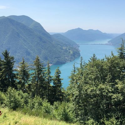 nooralahmadi's profile picture. 