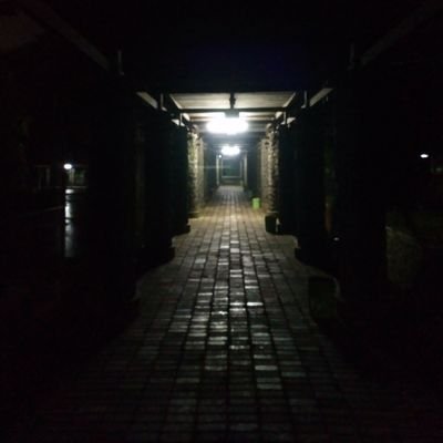 AhmadZikri's profile picture. 