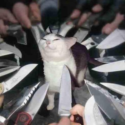 Randomstuff1438's profile picture. stuff you need to know (maybe) (posting a few times a month or maybe once a month)