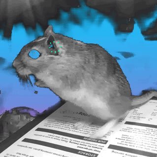 GhostGerbil Profile Picture