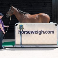 Horse Weigh(@HorseWeigh) 's Twitter Profile Photo
