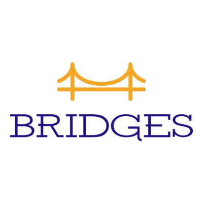 Bridges Business Builder