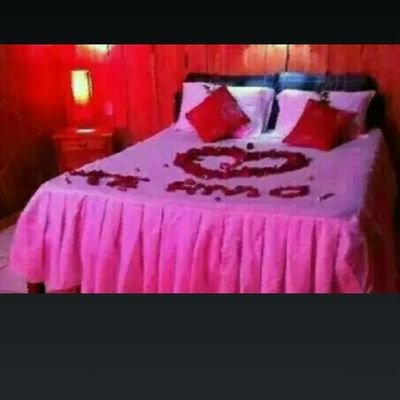 Zaynb91211039's profile picture. zaynb