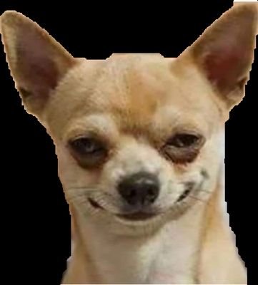 beingbackchodi's profile picture. official account of being backchodi
 follow us on Instagram @beingbackchodi