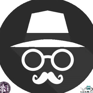 VEX_Incognito's profile picture. VEX EDR 2018 team