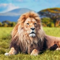 Ricardo, Ricardon (@ricardo84316150) 's Twitter Profile
