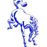 Centennial Wrestling (@bronco_wrestle) 's Twitter Profile Photo