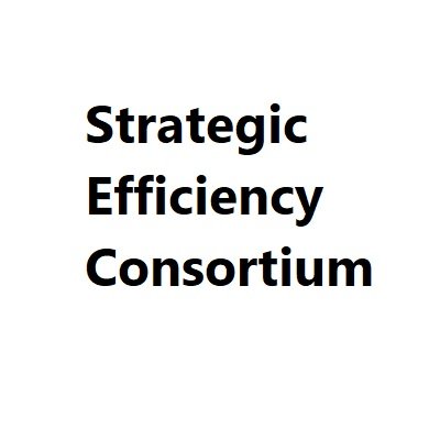 Strategic Efficiency Consortium Profile
