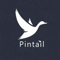 Pintail Limited (@pintaillimited) 's Twitter Profile Photo Pintail Limited (@pintaillimited) 's Twitter Profile Photo