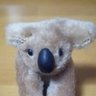 ssyo09's profile picture. コアラじゃなくてアルパカなのかもしれない