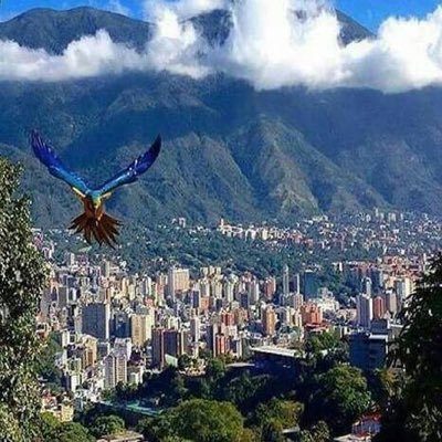 Educadora egresada de la UCAB, MDGCE egresada de la UB-ESPAÑA, 100% Caraquista, Vinotinto y Madridista. Ciudadana de la Libertad.