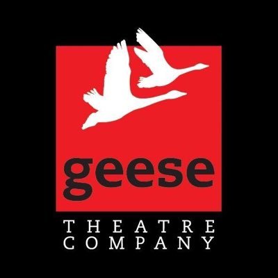 Geese uses theatre within criminal justice & social welfare to encourage positive social change via groupwork, training, interactive performances & much more 🎭